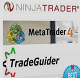 TradeGuider VSA Plugin for MetaTrader 4 + NinjaTrader 7