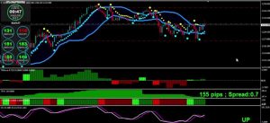 Toshko Raychev - ultimate profit solution