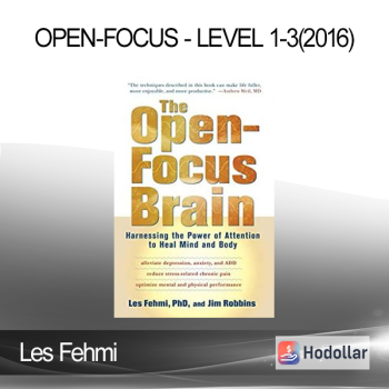 Les Fehmi - Open-Focus - Level 1-3(2016)