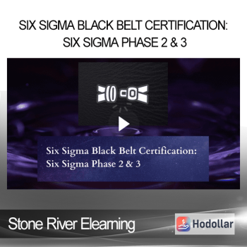 Stone River Elearning - Six Sigma Black Belt Certification: Six Sigma Phase 2 & 3
