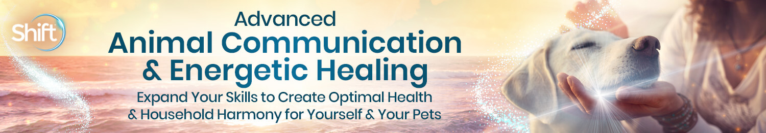 Joan Ranquet - Advanced Animal Communication & Energetic Healing 2024